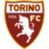 تورينو